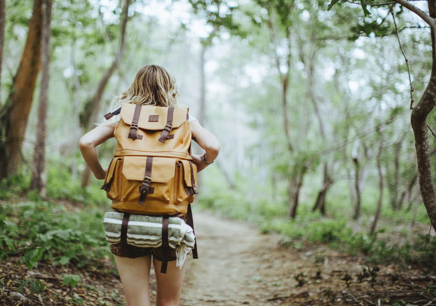 Jelvényszerző túráink